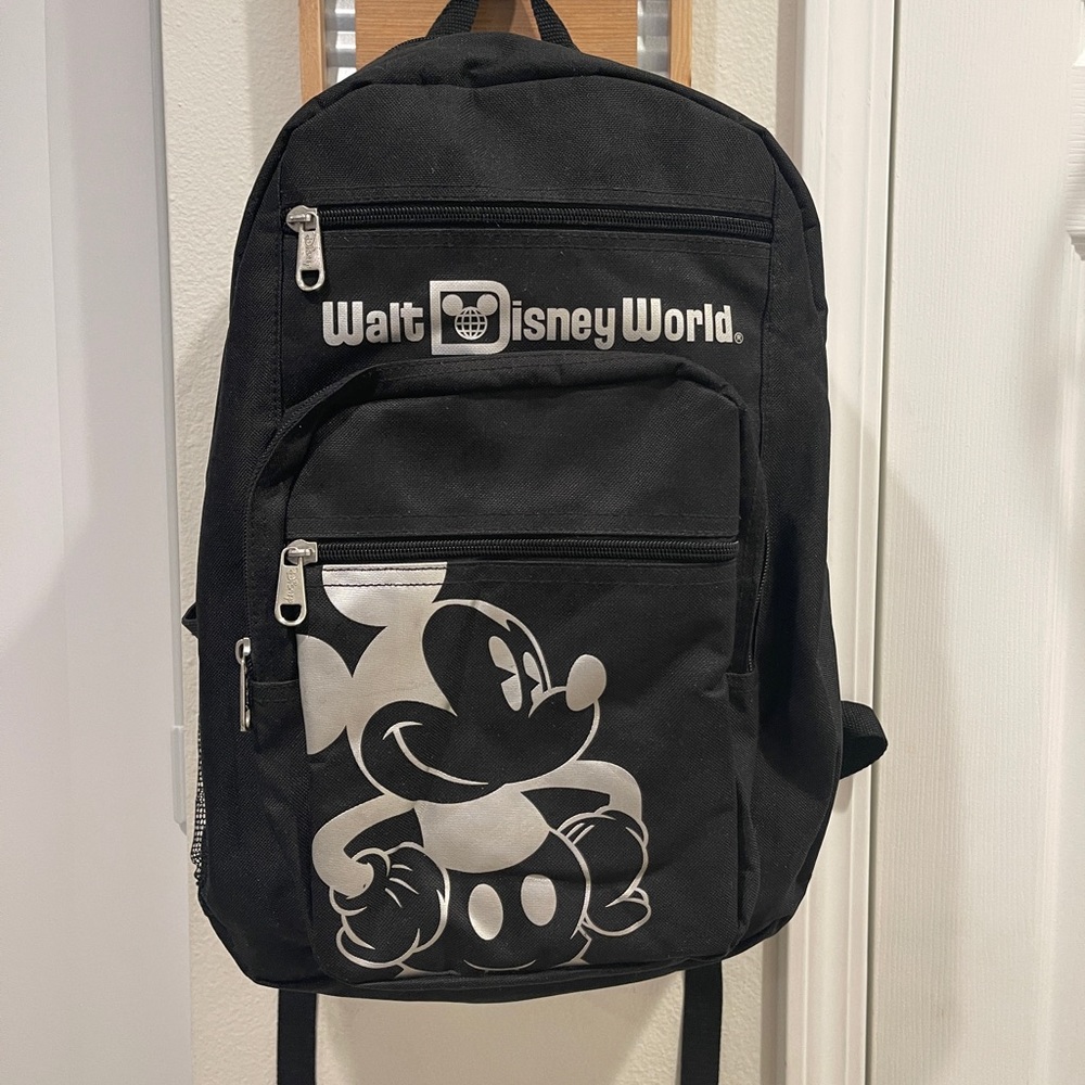 Disney world backpack